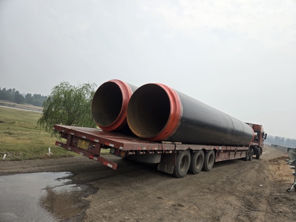 2024��ɽ���R���Ŀ